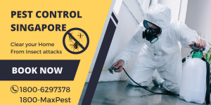 Pest Control Singapore